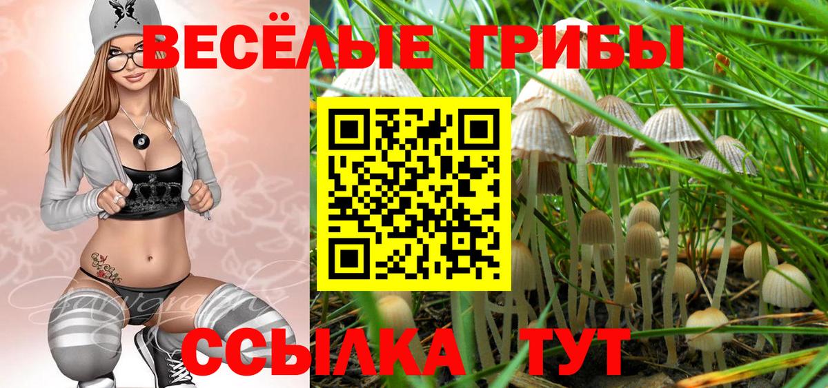 Галлюциногенные грибы GOLDEN TEACHER  Вход с VPN  хочу наркоту  Клин 